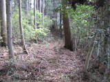 陸奥 寺山館の写真