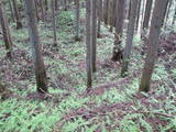 陸奥 寺山館の写真