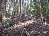 陸奥 高野館の写真