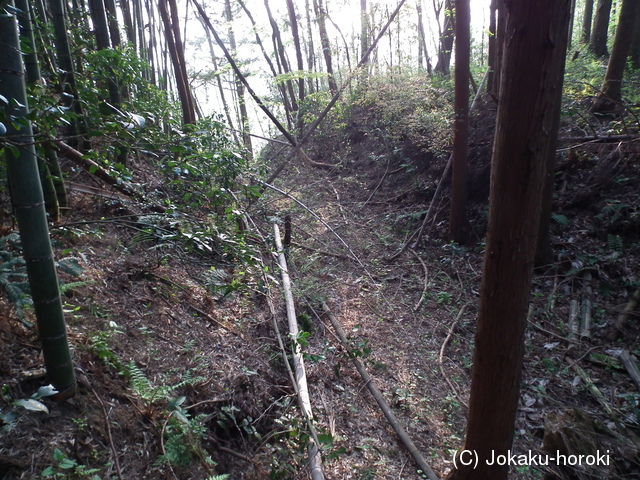 陸奥 小浜館の写真