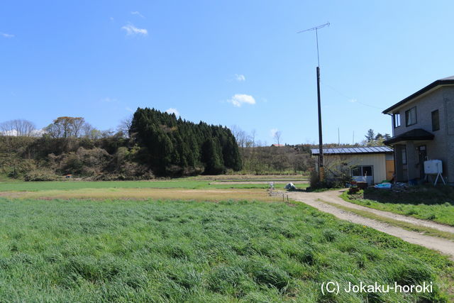 陸奥 藤島館の写真