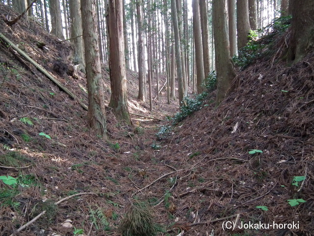 陸奥 槻の木館の写真