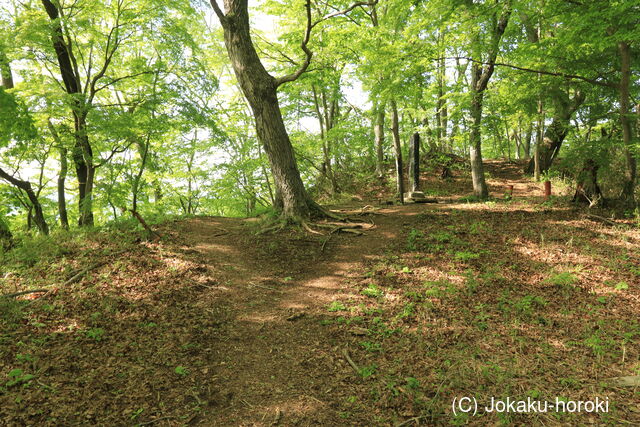 陸奥 月居城の写真