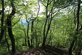 陸奥 月居城の写真