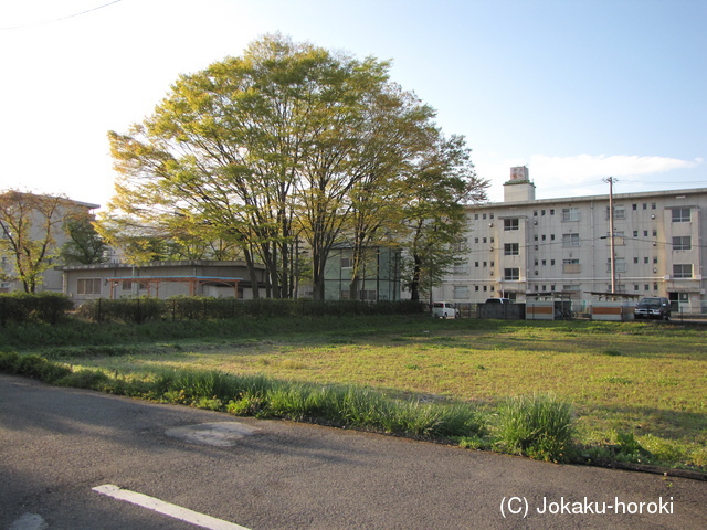 陸奥 対馬館の写真