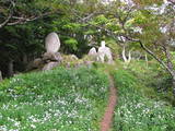 陸奥 宇津峰城の写真