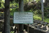 陸奥 上野館の写真