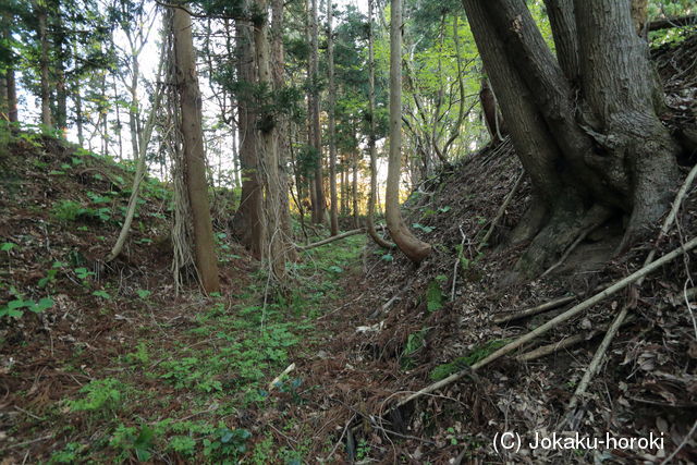 陸奥 田中館(和賀町)の写真