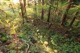 陸奥 田中館(和賀町)の写真