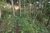 陸奥 田中館(和賀町)の写真