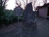 陸奥 和徳城の写真