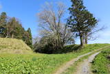 陸奥 山吹城の写真