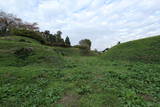 陸奥 梁川城の写真