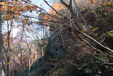 陸奥 横田中丸城の写真
