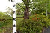 陸奥 吉岡城の写真