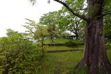 陸奥 吉岡城の写真
