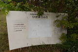 陸奥 吉岡城の写真