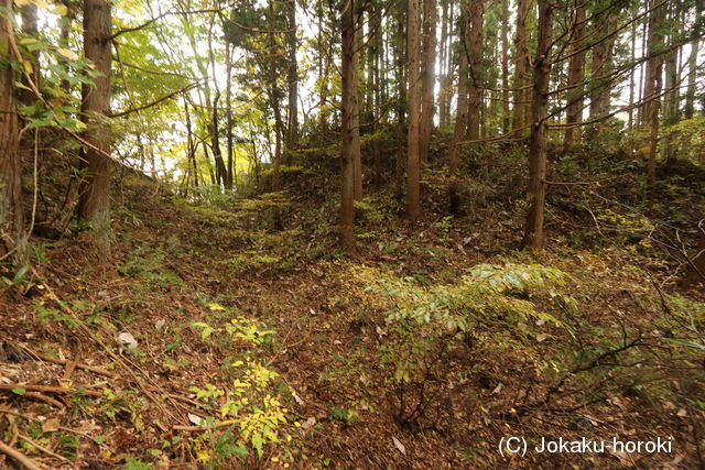 陸奥 湯山城の写真