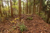 陸奥 湯山城の写真