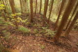 陸奥 湯山城の写真