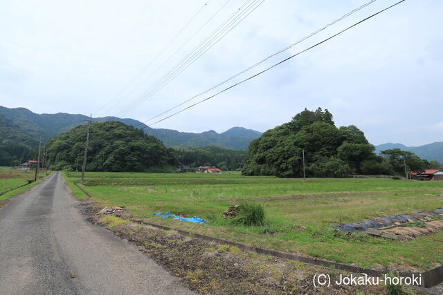 長門 青景城の写真