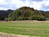 長門 青景城の写真