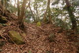 長門 青山城の写真