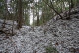 長門 荒滝山城の写真