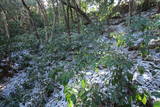 長門 荒滝山城の写真