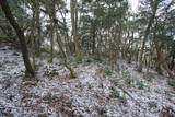 長門 荒滝山城の写真