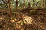 長門 荒滝山城の写真