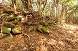 長門 荒滝山城の写真