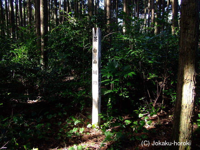 長門 別府茶臼山城の写真