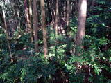 長門 別府茶臼山城の写真