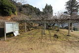 長門 長生寺城の写真