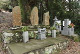 長門 長生寺城の写真