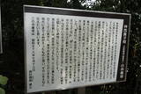 長門 長生寺城の写真