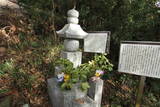 長門 長生寺城の写真