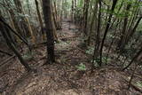 長門 長生寺城の写真