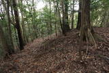 長門 長生寺城の写真