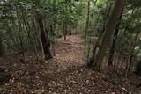長門 長生寺城の写真