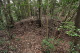 長門 長生寺城の写真