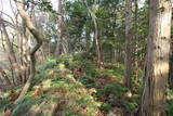 長門 深川城の写真
