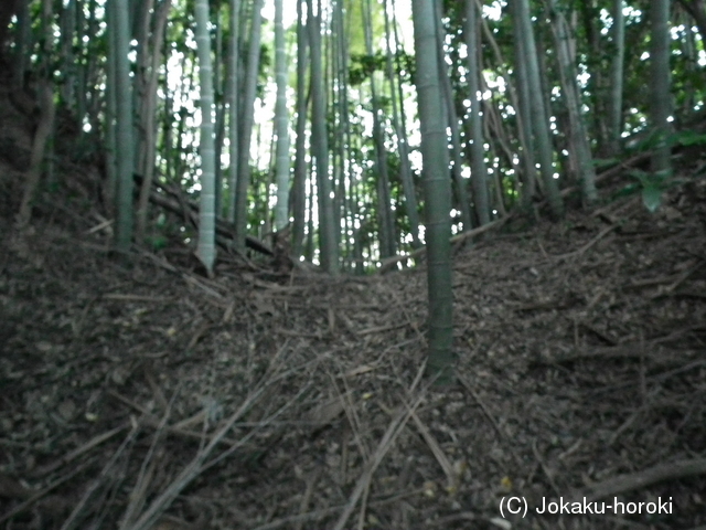 長門 亀山城の写真