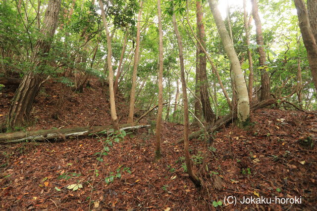 長門 羽波城の写真