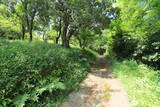 長門 東分茶臼山城の写真