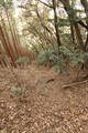 長門 城光寺城の写真