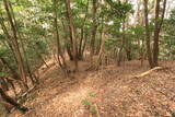 長門 城光寺城の写真