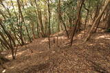 長門 城光寺城の写真