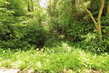 長門 鎌ヶ山城の写真